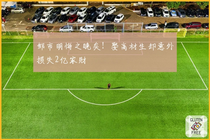 邹市明悔之晚矣！娶高材生却意外损失2亿家财