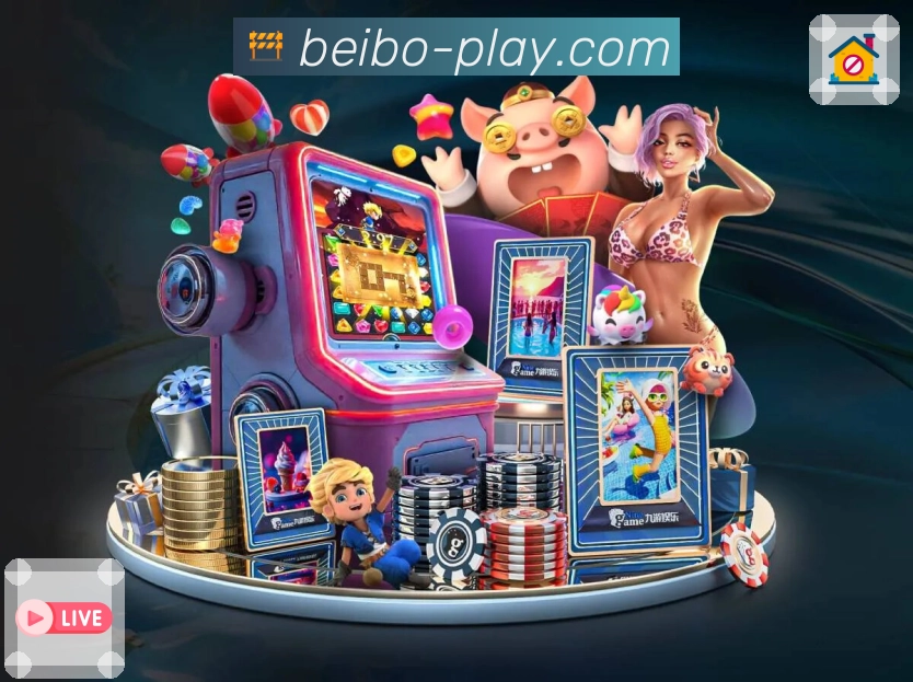 荣耀背后的坚守与创新